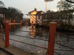 -湖鲜楼