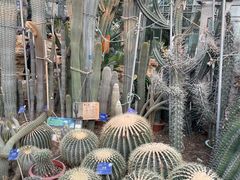 -国家植物园南园