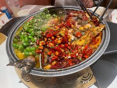 -锦尚阁烤鱼(望京新荟城店)