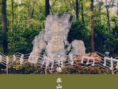 -音乐台