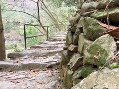 景点-紫云谷景区