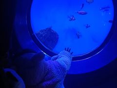 -海合安武汉极地海洋公园