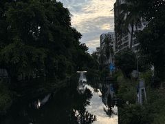 -万绿园
