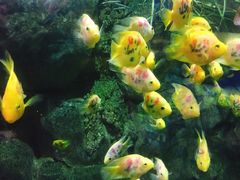 -苏州海洋馆