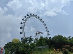 -大连森林动物园