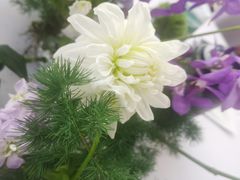 -莱蔻·圣灸堂·推拿艾灸(天山店)