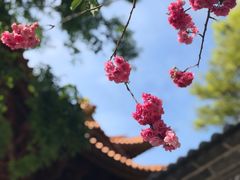 -大理文庙(大理古城)