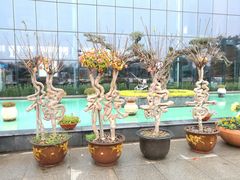 -南通洲际绿博园