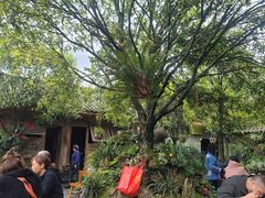 -青城甲(青城山店)