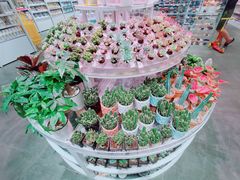 -KKV(深圳kk one 店)