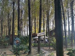 -林间山庄