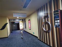 -华谊兄弟影院(IMAX洋桥店)