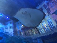 -西安华夏文旅水世界