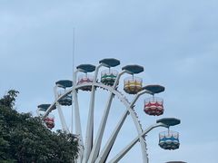 -张坝桂圆林公园