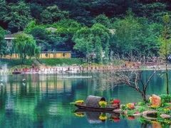 -重庆彩云湖湿地公园