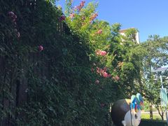-陈家山荷花公园