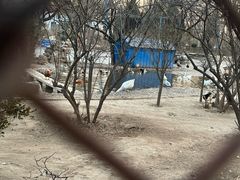 -森林公园(尖草坪区)