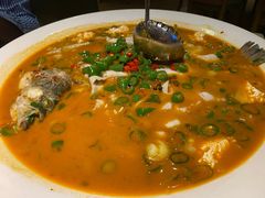 鲜椒豆花鲈鱼-川味堂·四川豆花(八卦岭店)