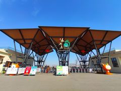 -上海长兴岛郊野公园