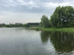 -东郊湿地公园
