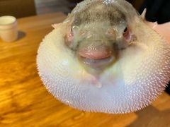 -永安鱼庄·镇江菜(丁卯店)