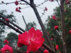 -重庆彩云湖湿地公园