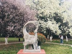 -西安交通大学(雁塔校区)
