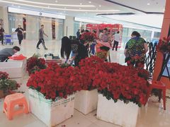-潮牛一家潮汕牛肉火锅(璧山中央大街店)
