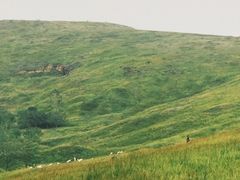 -恋山坝上草原