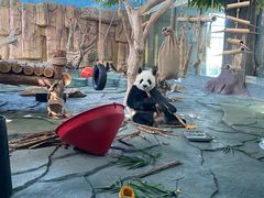 -泉州海丝野生动物世界