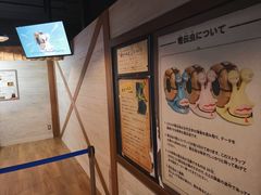 -东京塔海贼王主题公园