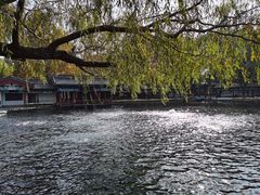 -百脉泉景区