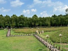 -滨湖塘西河公园