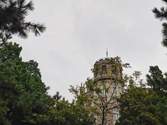 -八大关景区