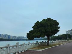-南宁南湖公园