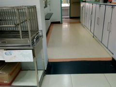-北京观赏动物医院·24小时大型综合·猫专科·异宠专科
