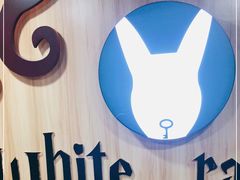 -白兔子密室(长寿路店)
