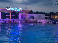 -三亚海昌梦幻海洋不夜城