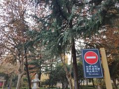-木塔寺遗址生态公园