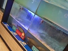 -鱼酷活鱼烤鱼(南京水游城店)