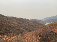 -鬼笑石后山停车场
