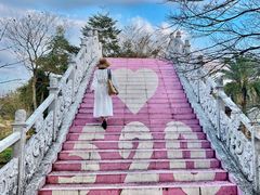 -田野绿世界