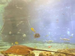 -福州罗源湾海洋世界旅游区