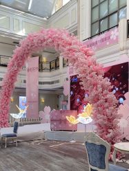 -禾丽康美医疗美容医院