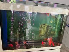 -欣怡茶庄·始于1999(梅家坞店)