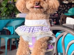 -My Way Town买味堂·东南亚餐厅(亦庄店)