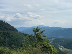 -武陵山森林公园