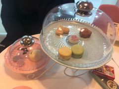 -三花喵·撸猫购宠·宠物生活馆(虹桥南丰城店)