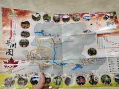 -广州市石门国家森林公园