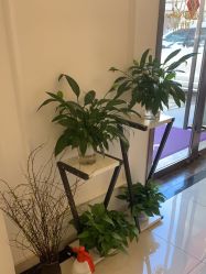 -香秀空间科技抗衰·美容中心